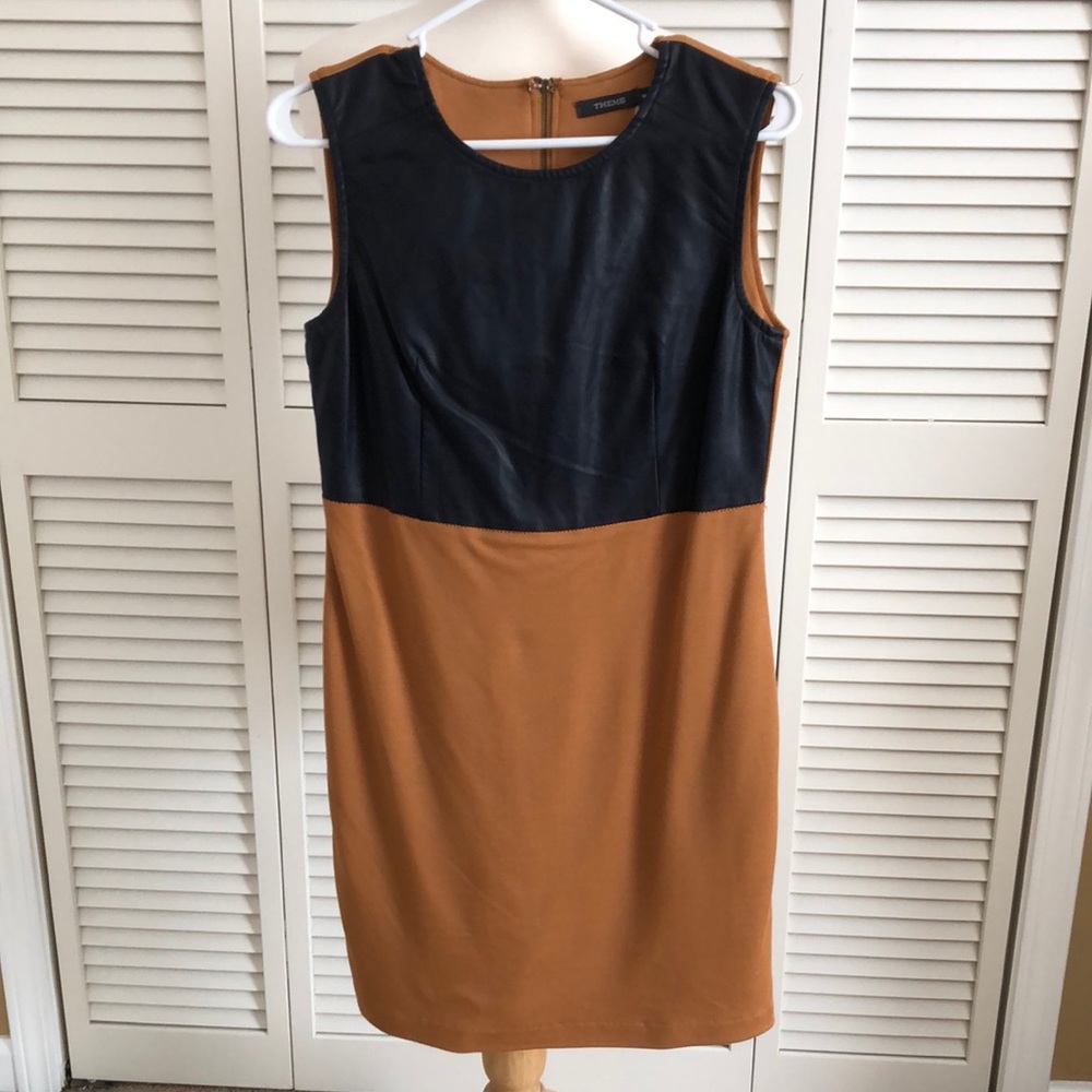 Theme dress NWOT